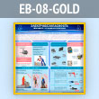 ����� �������������������� ��� ������ � ������ ������������ (EB-08-GOLD)